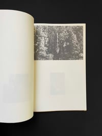 Image 6 of A Lily's Wrath<br>Photobook