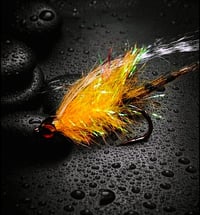 Image 2 of Sculpin Braun Olive & Orange Braun