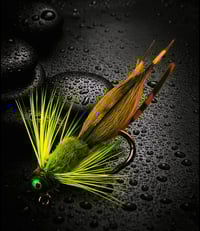 Libellenlarven Fliege 