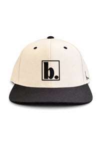 Image 1 of b. Professional Hat.
