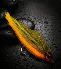 Perch Olive / Orange UV 