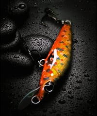 Image 2 of Trout Minnow