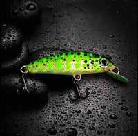 Image 3 of Trout Minnow