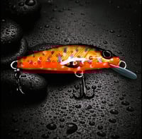 Image 4 of Trout Minnow