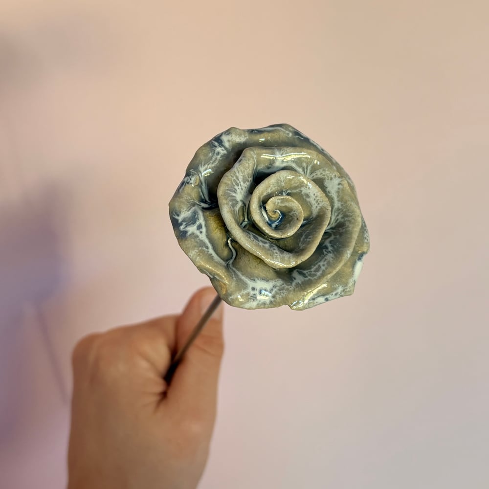 Image of Aqua Giftboxed Rose 