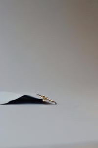 Image 1 of Fedina Cuoricino