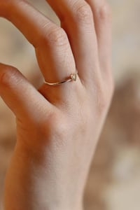 Image 2 of Fedina Cuoricino