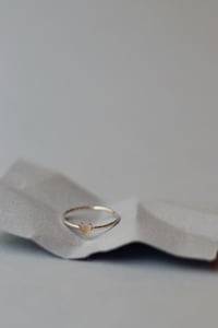 Image 5 of Fedina Cuoricino