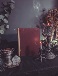 Image 2 of The Divine Comedy