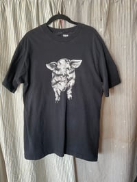 Image 1 of Pig T 510