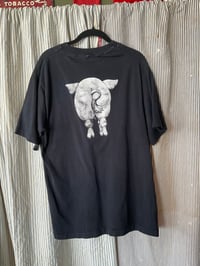 Image 2 of Pig T 510
