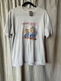 Buzzards t 533