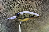 Image 6 of Custom Airbrushed Combat Crankbait 4541