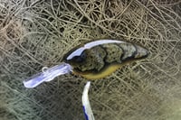 Image 8 of Custom Airbrushed Combat Crankbait 4541