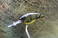 Image 10 of Custom Airbrushed Combat Crankbait 4541