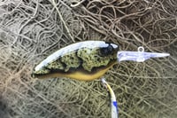 Image 9 of Custom Airbrushed Combat Crankbait 4541