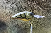 Image 12 of Custom Airbrushed Combat Crankbait 4541