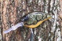 Image 1 of Custom Airbrushed Combat Crankbait 4541