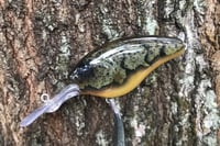 Image 3 of Custom Airbrushed Combat Crankbait 4541