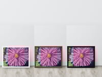 Image 6 of Large pink flower Abstract Floral ART Giclee Print,  Framed. NOT ai