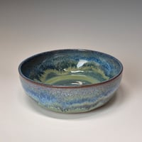 Image 4 of 4 Cup One Dish Meal Bowl: Lichen (Green) 01202601