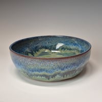 Image 1 of 4 Cup One Dish Meal Bowl: Lichen (Green) 01202601