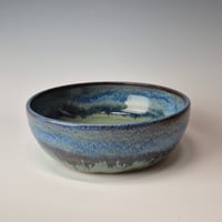 Image 4 of 4 Cup One Dish Meal Bowl: Lichen (Green) 01202602