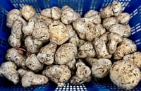 Image 4 of Hibachi Matsutake Shoyu Sauce