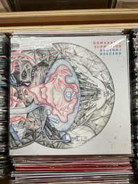 Domkraft Slomatics Ascend Descend 