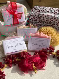 Lather & Cleanse Bar (Soap)