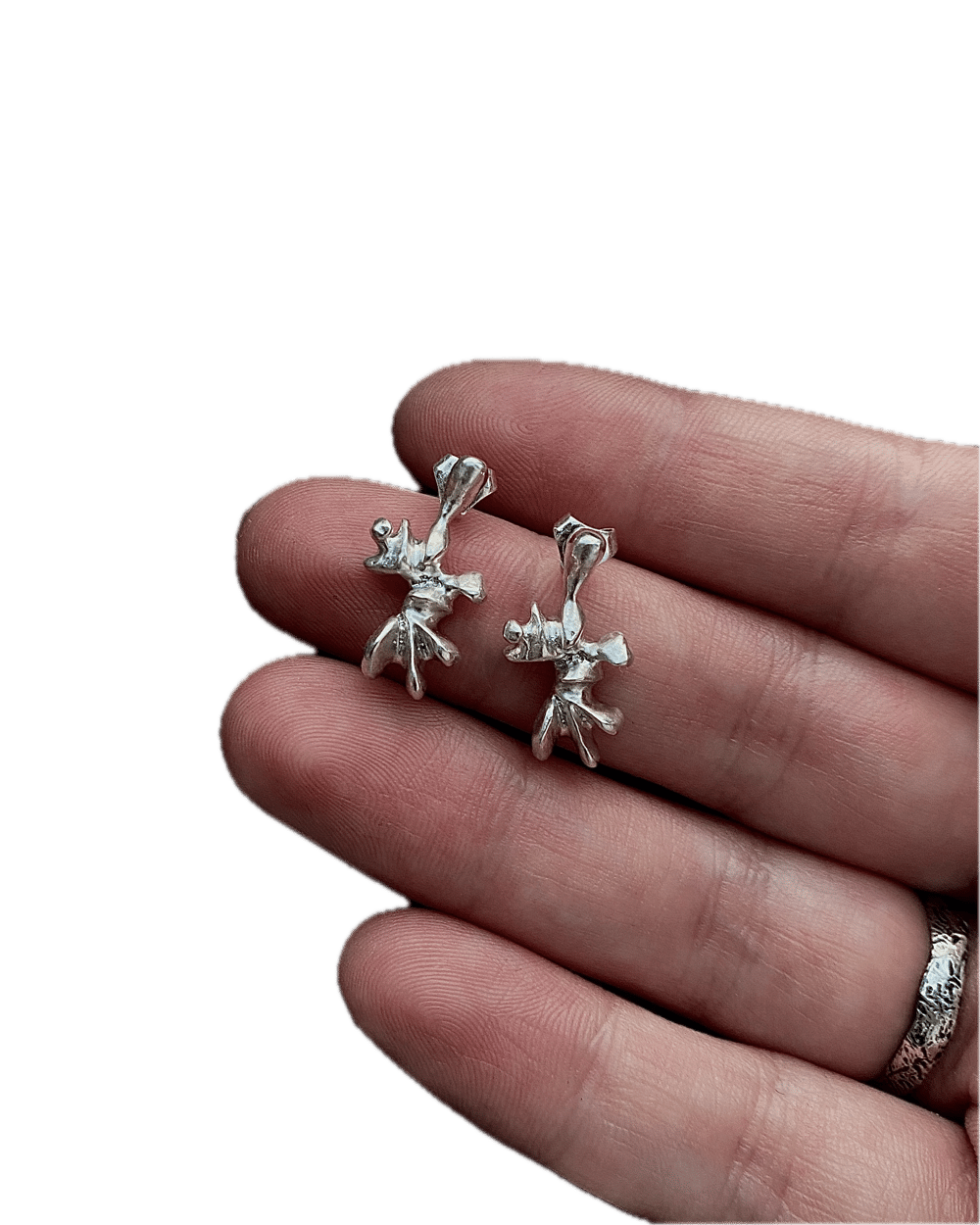 Image of The Guardian's Guardian Earrings