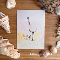 Image 3 of POST CARDS