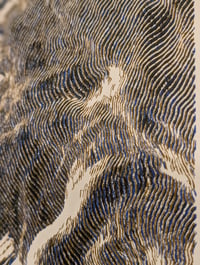 Image 4 of Filamentous