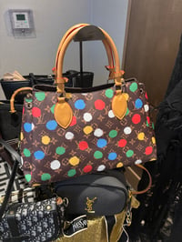 LV Multicolor Bag