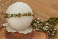 Braided Tieback - Green