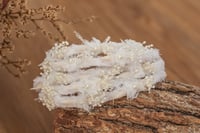 Image 2 of Braided Tieback - White