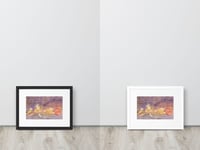 Image 8 of Watercolor Seals framed Print – Coastal Marine Animal Art