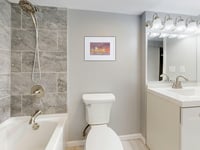 Image 5 of Watercolor Seals framed Print – Coastal Marine Animal Art