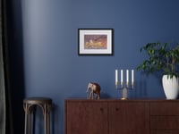 Image 6 of Watercolor Seals framed Print – Coastal Marine Animal Art