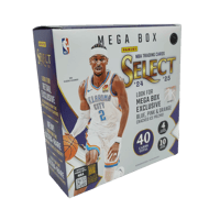 Panini 2025 Select Basketball Mega Box