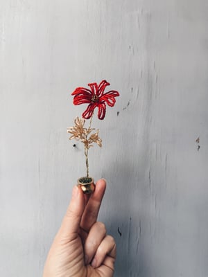 Perleblomst på fod -rød