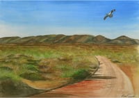 ORIGINAL “Osprey”