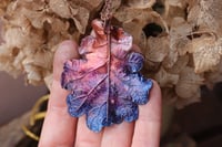 Image 1 of Vera foglia di quercia racchiusa nel rame con patina viola