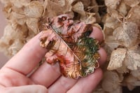 Image 3 of Vera foglia di quercia racchiusa nel rame con patina autunnale