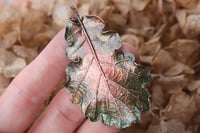 Image 1 of Vera foglia di quercia racchiusa nel rame con patina verde