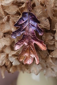 Image 3 of Vera foglia di quercia farnia racchiusa nel rame con patina viola