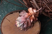 Image 1 of Vera foglia di quercia racchiusa nel rame con patina ossidata calda