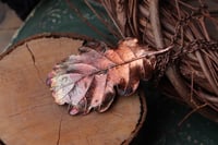 Image 2 of Vera foglia di quercia racchiusa nel rame con patina ossidata calda