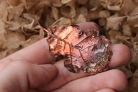 Image 3 of Vera foglia di quercia racchiusa nel rame con patina ossidata calda