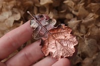 Image 2 of Vera foglia di quercia racchiusa nel rame con patina ossidata sfumata